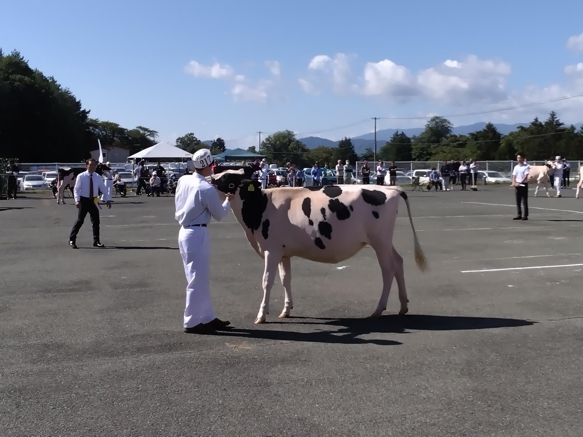 滝沢市の令和6年度集落営農活性化プロジェクト促進事業の成果目標の達成状況