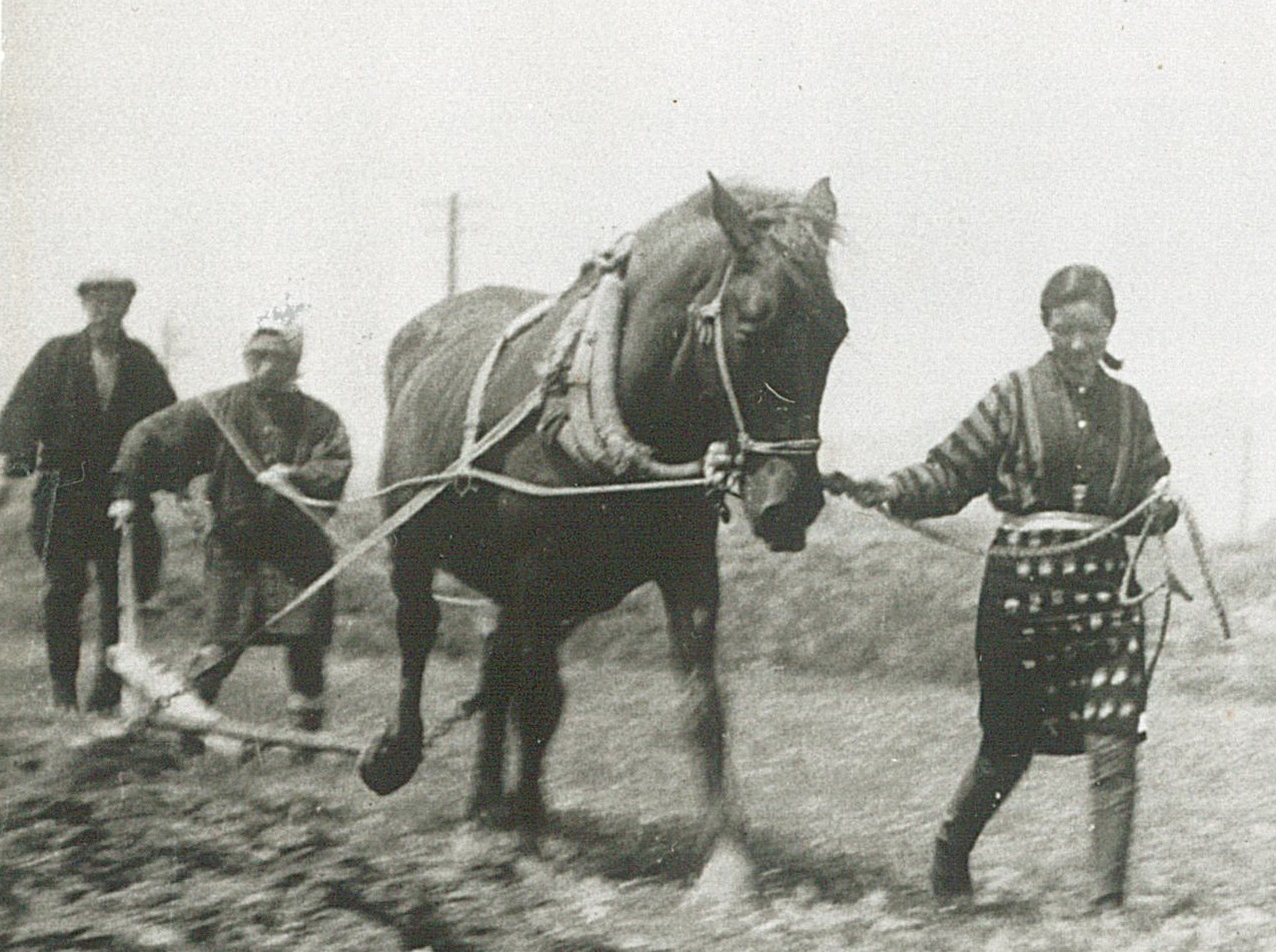 (写真)映画「馬」スナップ写真