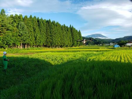 ドローンの薬剤散布作業後ろには岩手山