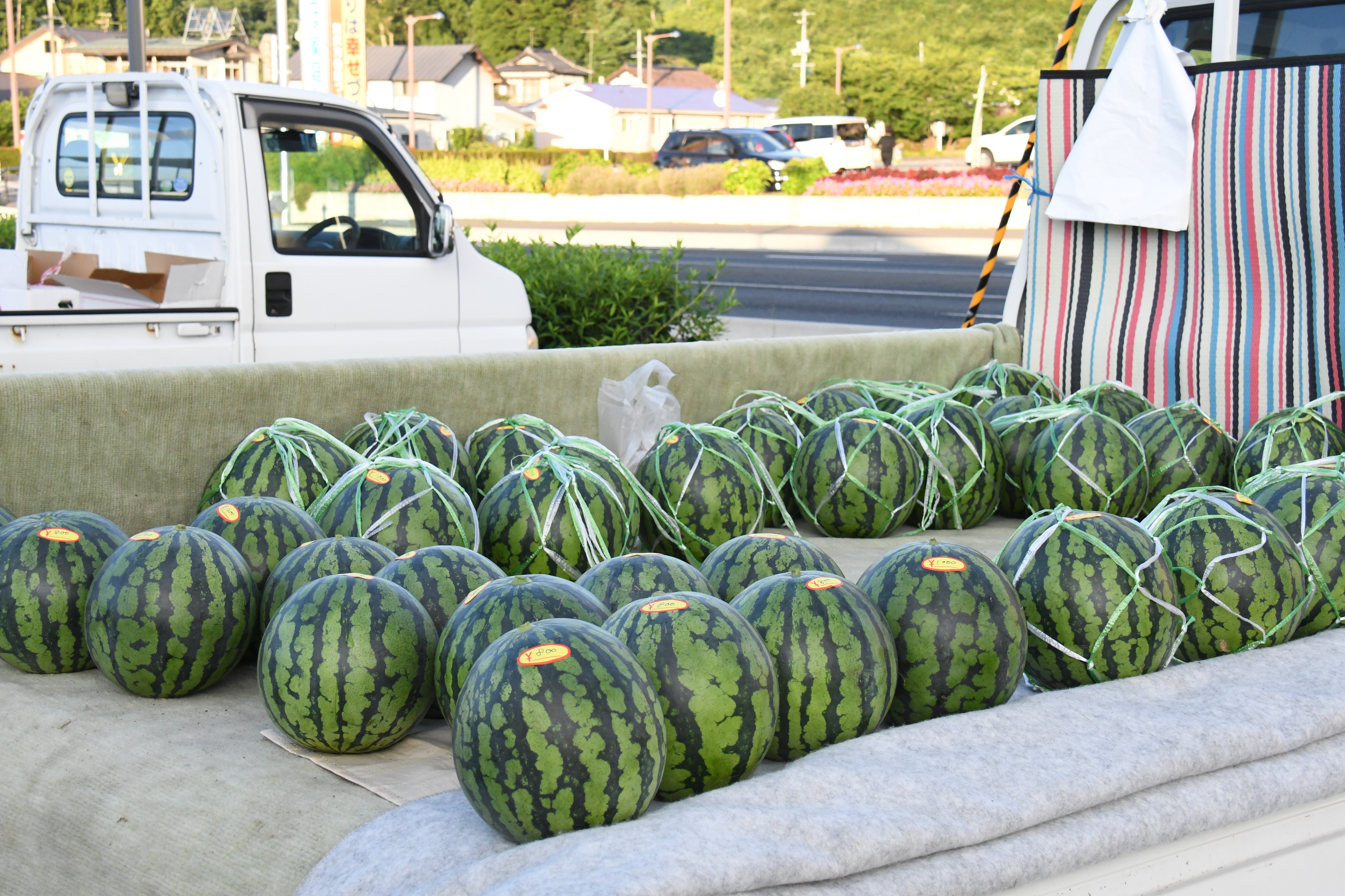 軽トラックの荷台にたくさんの滝沢スイカが並んでいます。