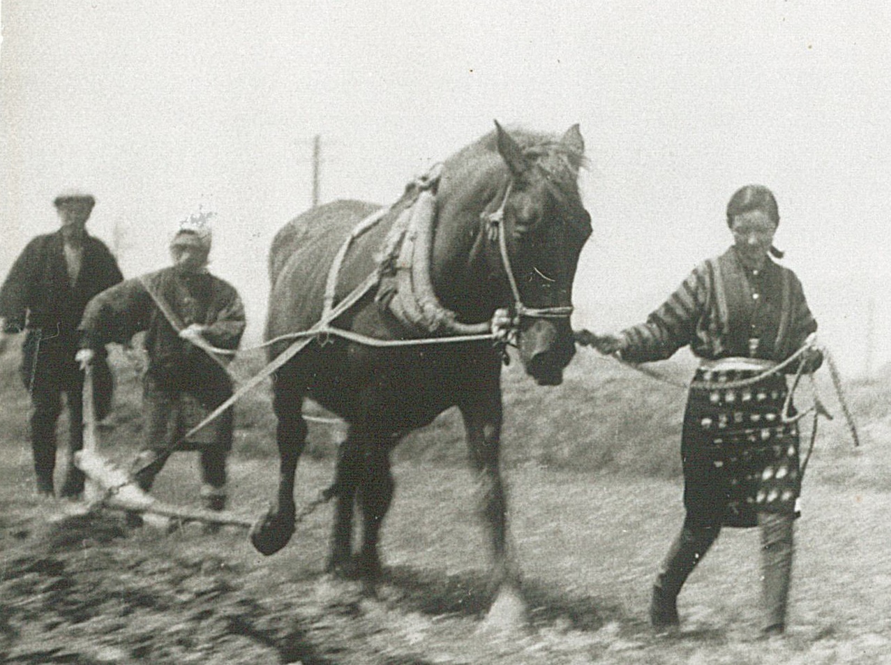 （写真）映画「馬」スナップ写真