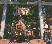 （写真）馬コの様子（蒼前神社前）