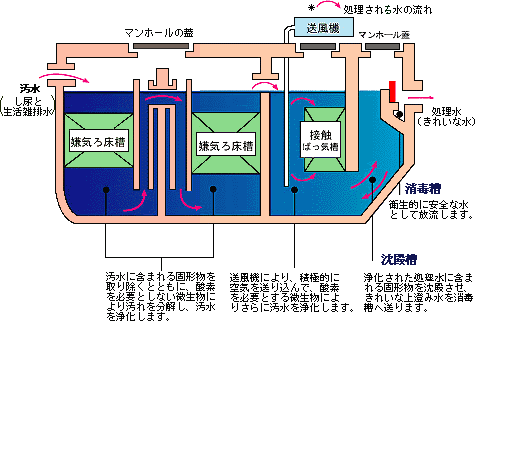 合併処理浄化槽の処理フロー