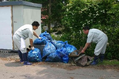 清掃により出てきたごみの量の一部