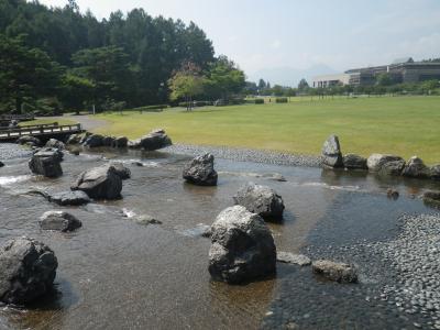 岩の間を流れる水の流れの様子