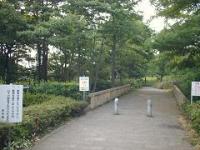 諸葛川河川公園の様子