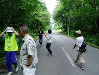 柳沢の景観点検ウオーキング2