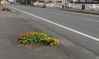 道路沿いに花壇がある様子