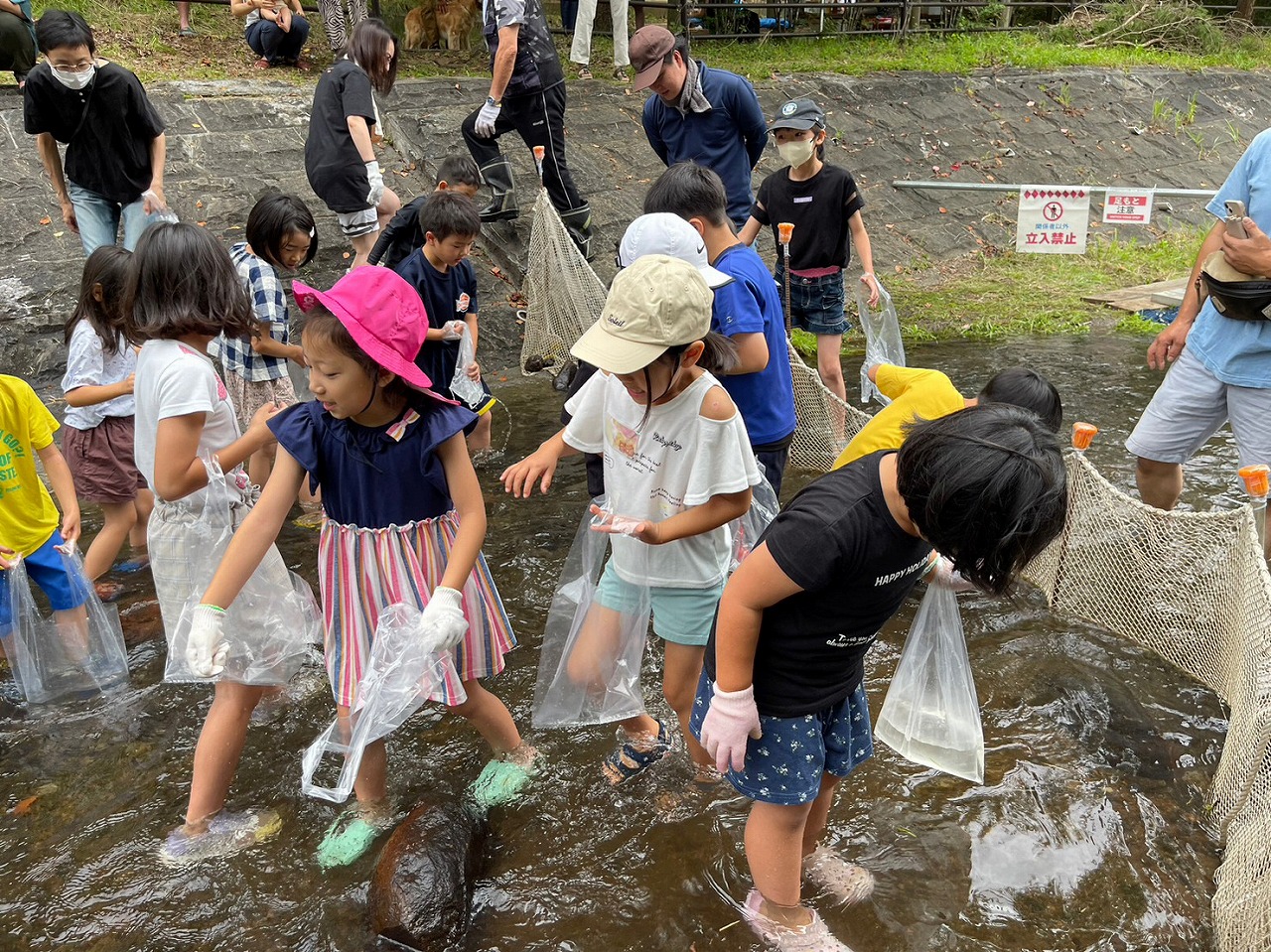 子どもたちが川に入り遊んでいる様子