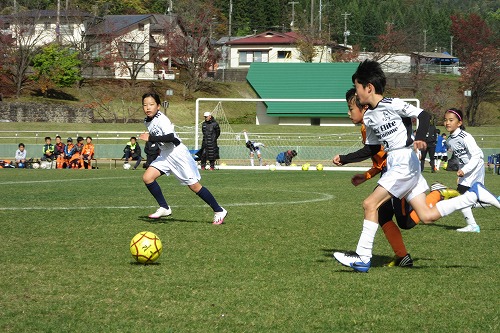 天然芝でサッカーの様子