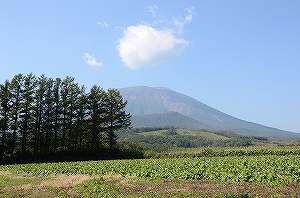 鞍掛山の様子