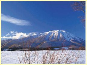 岩手山麓の写真