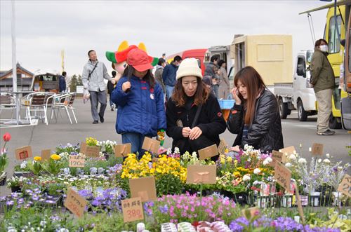 人々が鉢植えを眺めている様子