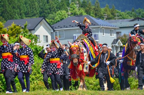 田んぼ沿いを馬が引かれていく様子