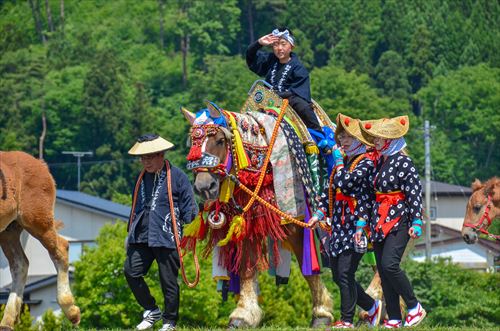 田んぼ沿いを馬が引かれていく様子