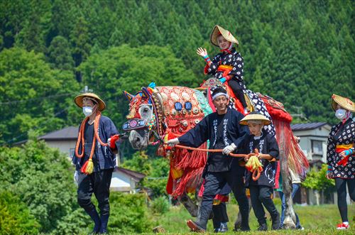 田んぼ沿いを馬が引かれていく様子