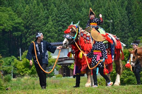 田んぼ沿いを馬が引かれていく様子