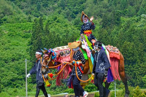 田んぼ沿いを馬が引かれていく様子