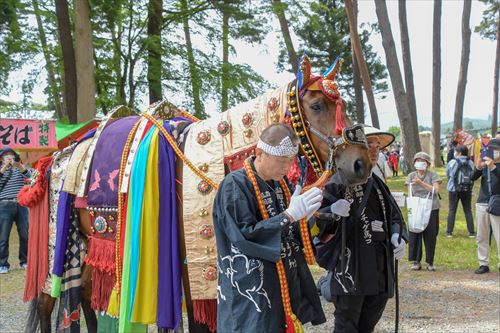 男性が馬の横で手を合わせている様子