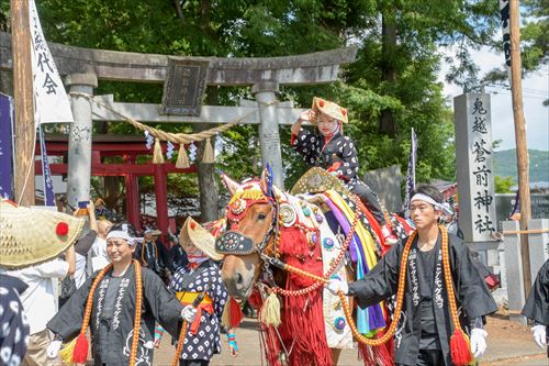 鳥居の前で子供が馬にまたがっている様子