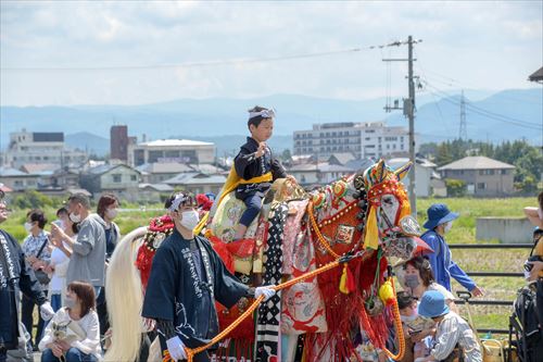 道路沿いを馬が引かれていく様子