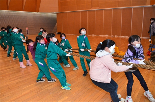 子どもたちが綱引きをしている様子