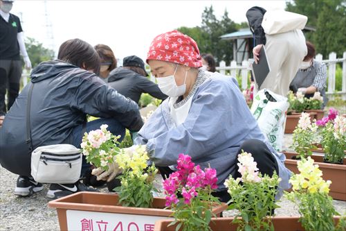 女性がプランターに花を植えている様子