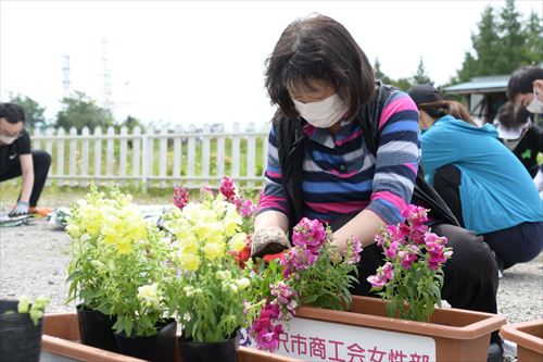 女性がプランターに花を植えている様子