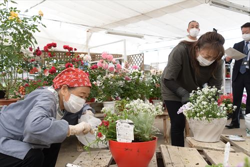 人々が植えられた花を眺めている様子