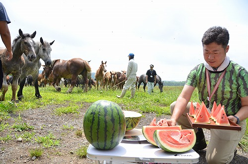 チャグチャグスイカ試食会の様子1