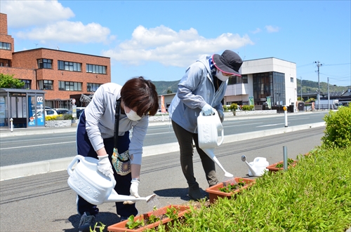 令和3年5月12日に行われた花いっぱい運動の様子4