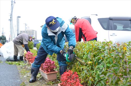 草取り・生垣刈り込みの様子2