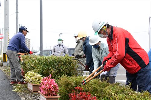 草取り・生垣刈り込みの様子1