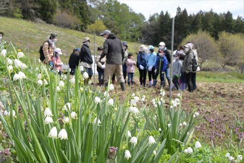 ブドウの定植イベントの様子