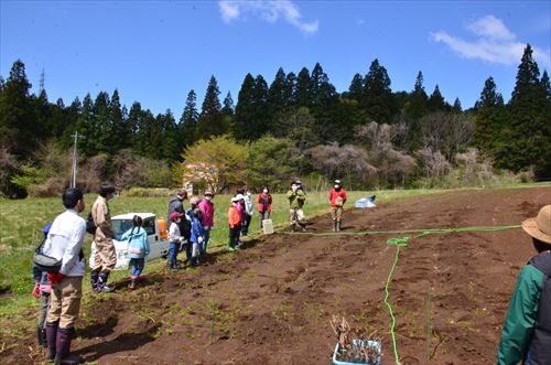 定植の説明を聞く参加者一同