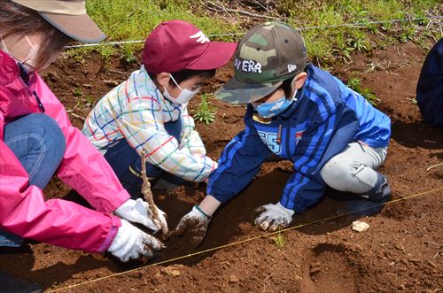 親子で作業する様子2