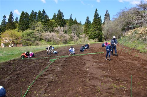 少し遠くのアングルで参加者を写真に収める