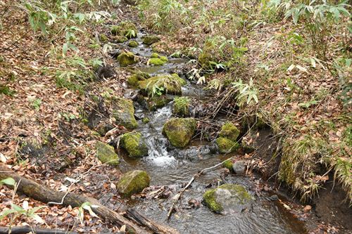 鞍掛山山開き式の様子4