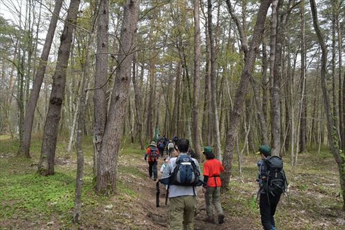 鞍掛山山開き登山の様子