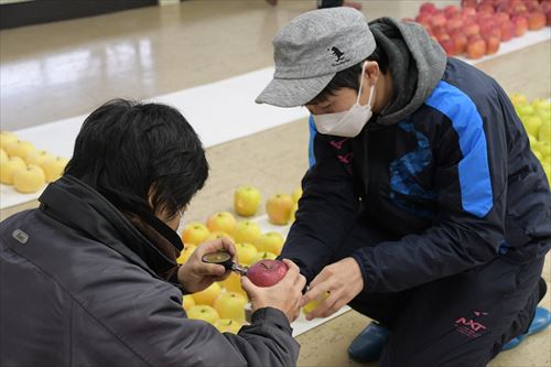 第45回果実品評会の様子