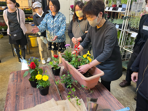 プランターへの寄せ植えを行う女性部員のみなさん