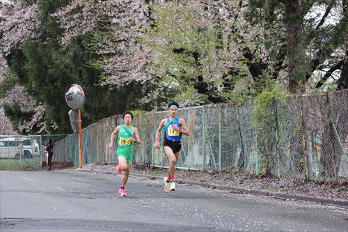 第76回盛岡市内一周継走大会の様子