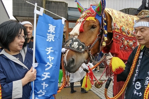 東京チャグチャグ馬コの写真