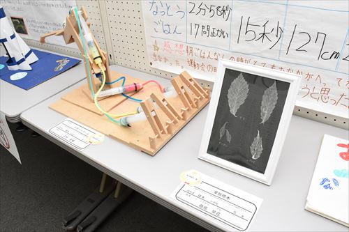 様々な工作や自由研究の作品4