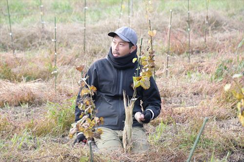 わら巻き作業協力イベントの様子