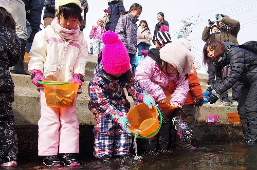 サケ稚魚放流会の様子