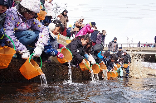 サケ稚魚放流会の様子