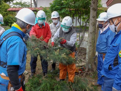 上田邸植木の枝切り作業と草取り作業の様子