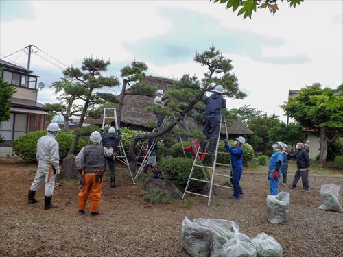 上田邸植木の枝切り作業と草取り作業の様子