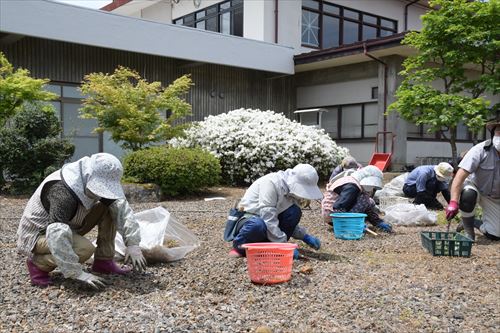 上田邸の植木の枝切り作業と草取り作業の様子